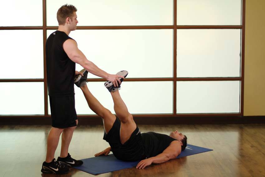 Adductor/Groin variant 2