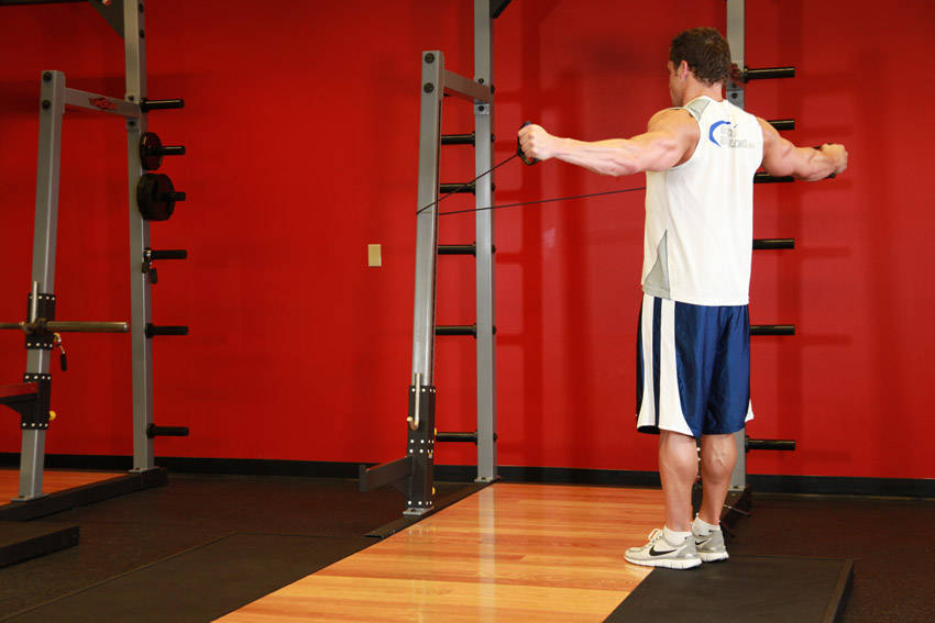 Back Flyes - With Bands variant 2