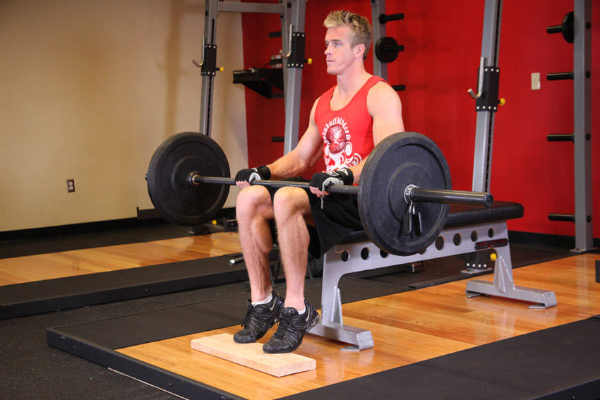 Barbell Seated Calf Raise variant 2