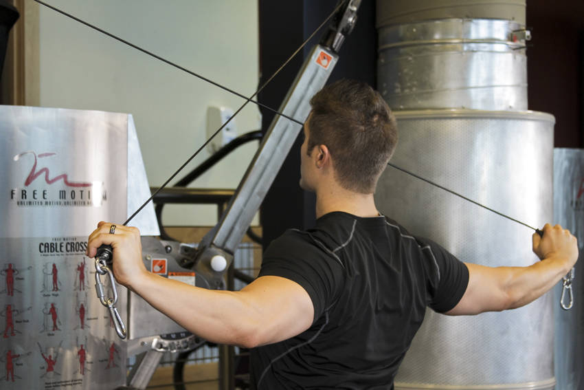 Cable Rear Delt Fly variant 2