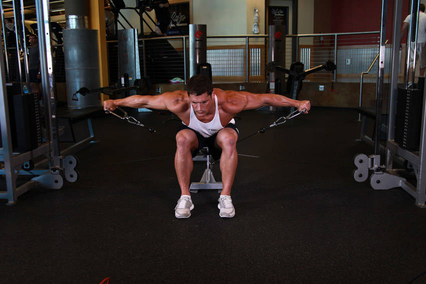 Cable Seated Lateral Raise variant 2