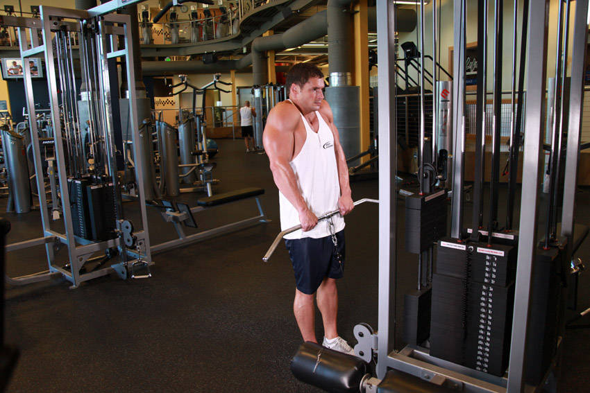 Cable Shrugs variant 2