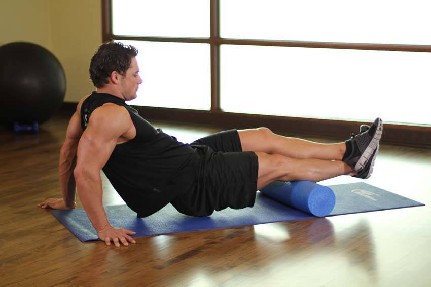 Calves-SMR variant 2