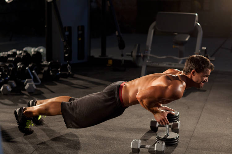 Close-Grip Push-Up off of a Dumbbell variant 2