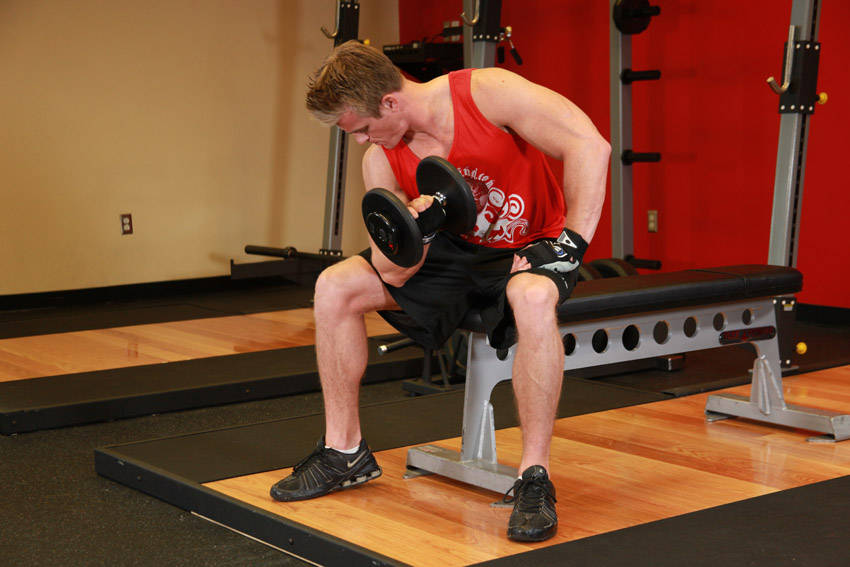 Concentration Curls variant 2