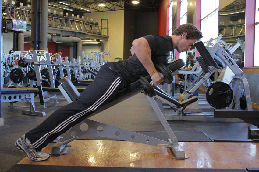Dumbbell Incline Row variant 2