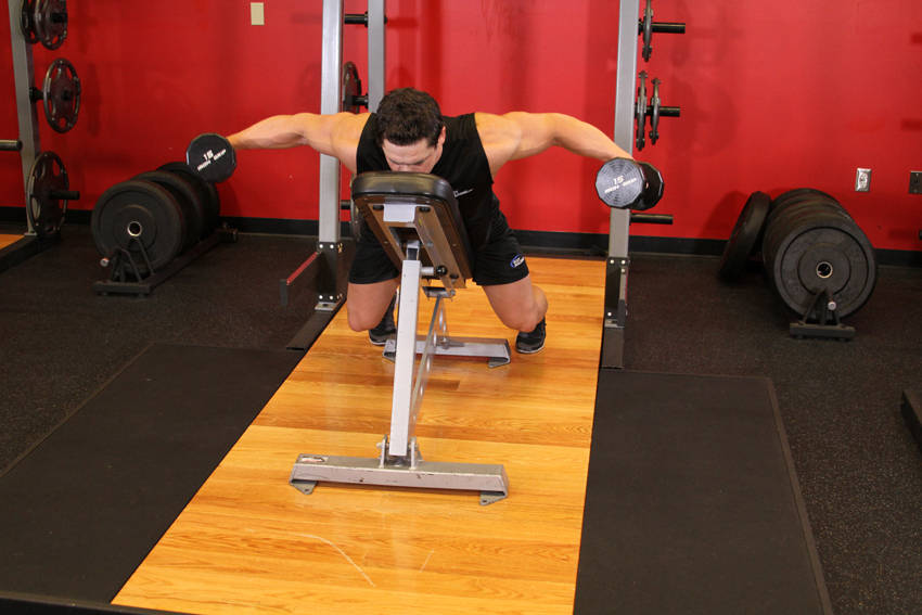 Dumbbell Lying Rear Lateral Raise variant 2