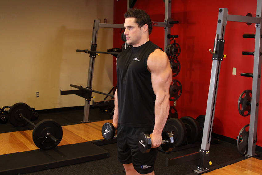 Dumbbell Raise