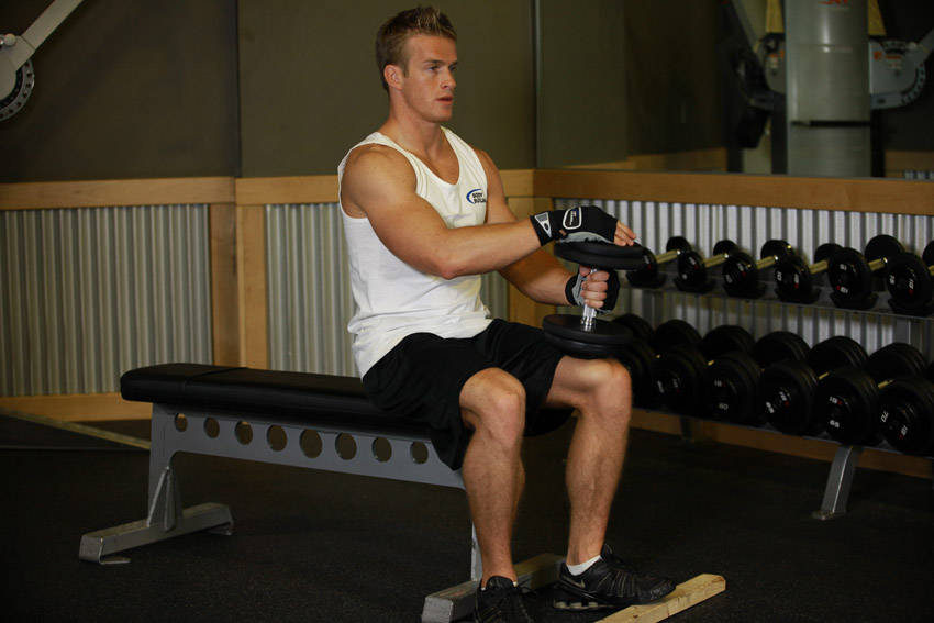 Dumbbell Seated One-Leg Calf Raise variant 2