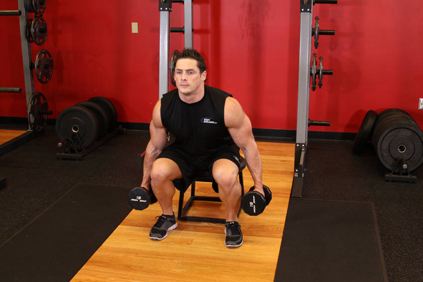 Dumbbell Squat To A Bench variant 2