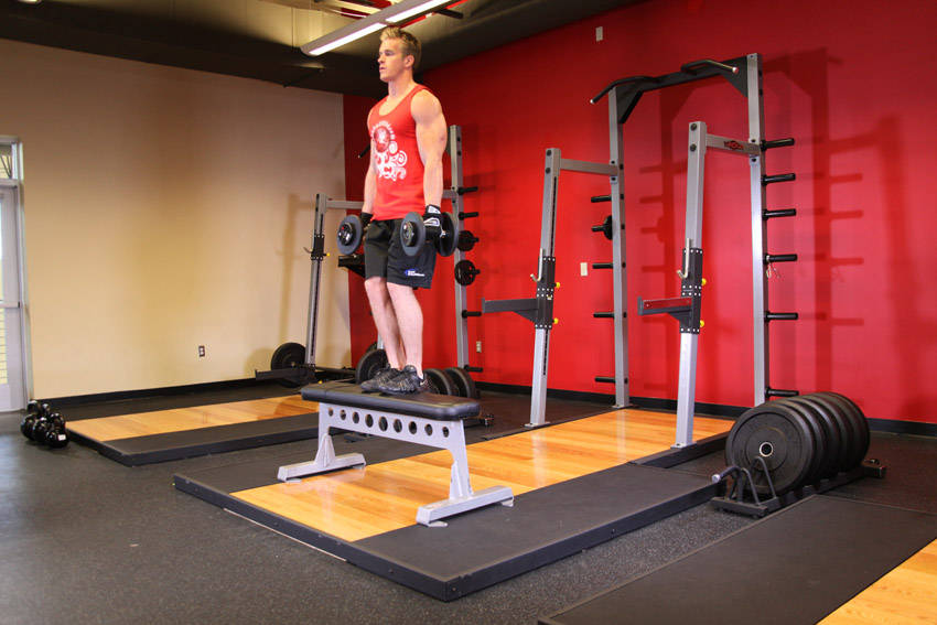 Dumbbell Step Ups