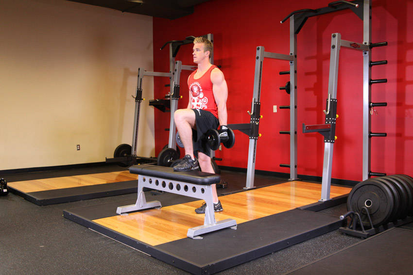 Dumbbell Step Ups variant 2