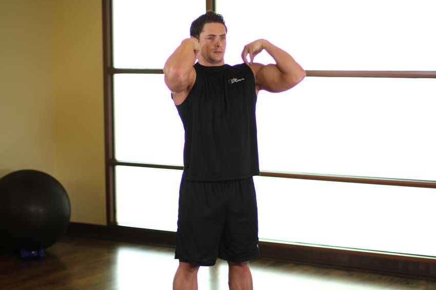 Elbow Circles variant 2