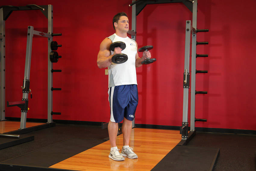 Hammer Curls variant 2