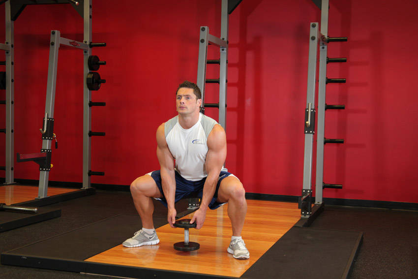 Plie Dumbbell Squat variant 2