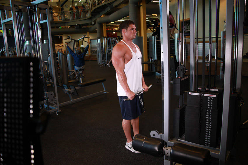 Reverse Cable Curl variant 2