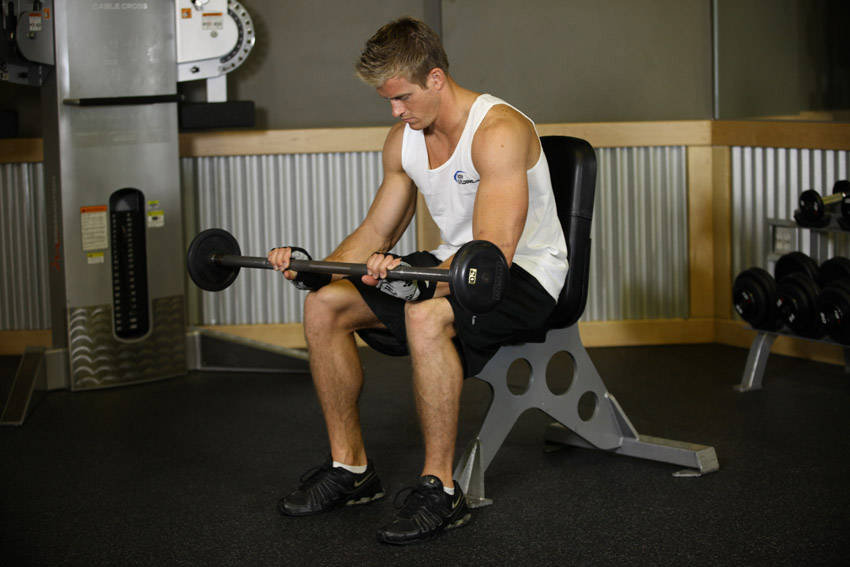 Seated Palms-Down Barbell Wrist Curl variant 2