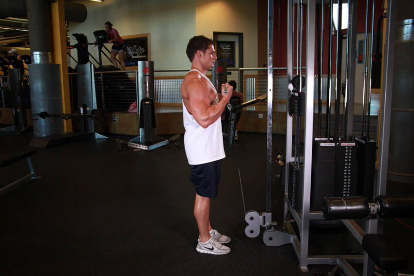 Standing Biceps Cable Curl variant 2