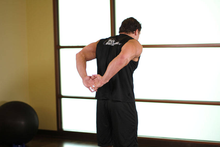 Standing Biceps Stretch variant 2