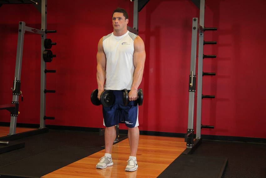 Standing Dumbbell Upright Row variant 2