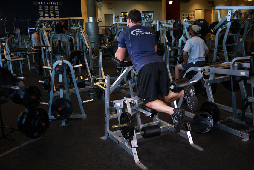 Standing Leg Curl variant 2