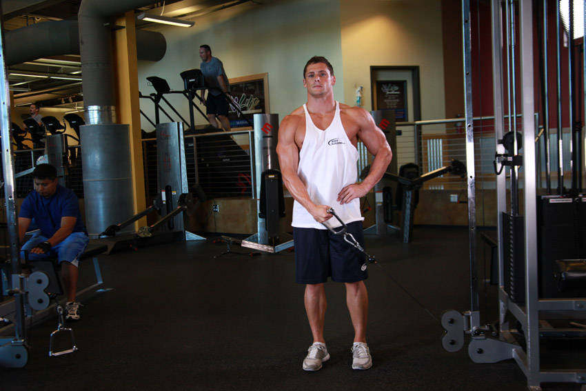 Standing Low-Pulley Deltoid Raise variant 2