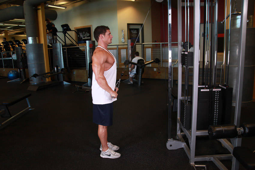 Straight-Arm Pulldown variant 2