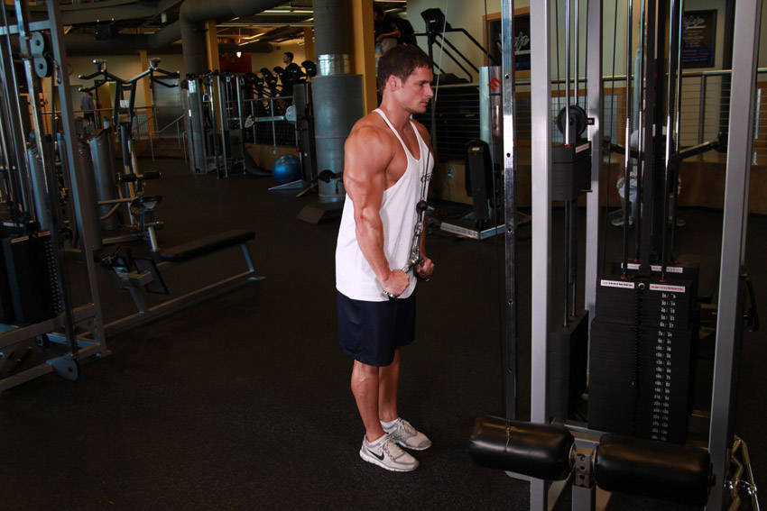 Triceps Pushdown - V-Bar Attachment variant 2