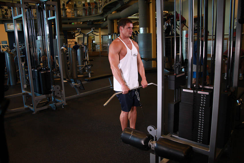 Upright Cable Row variant 2