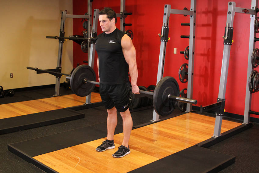 Barbell Hack Squat variant 2
