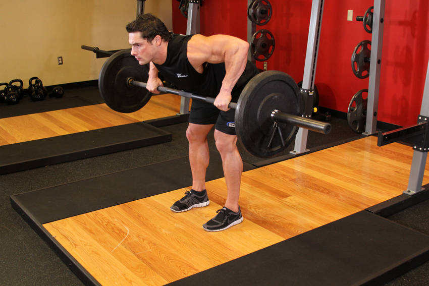 Barbell Rear Delt Row variant 2