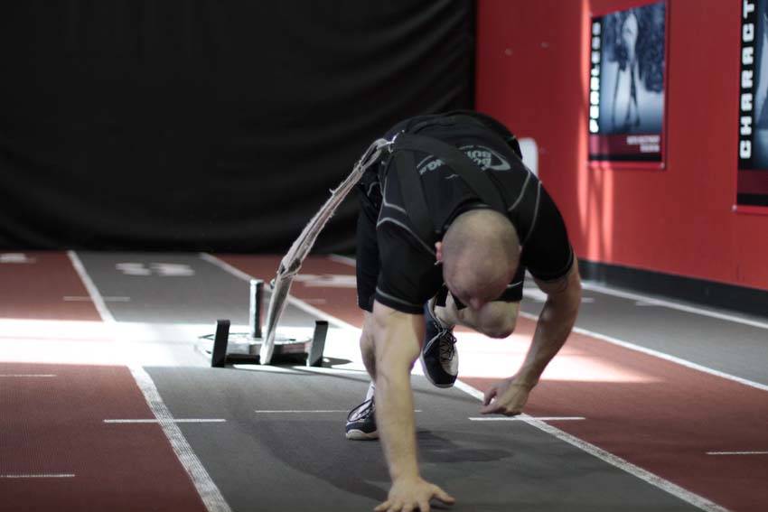 Bear Crawl Sled Drags variant 2