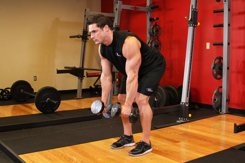 Bent Over Two-Dumbbell Row