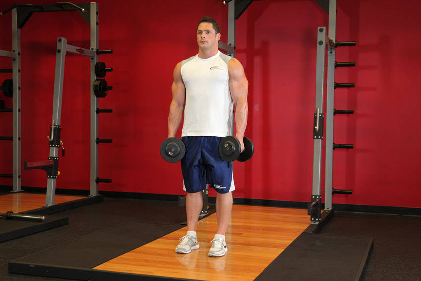 Dumbbell Shrug