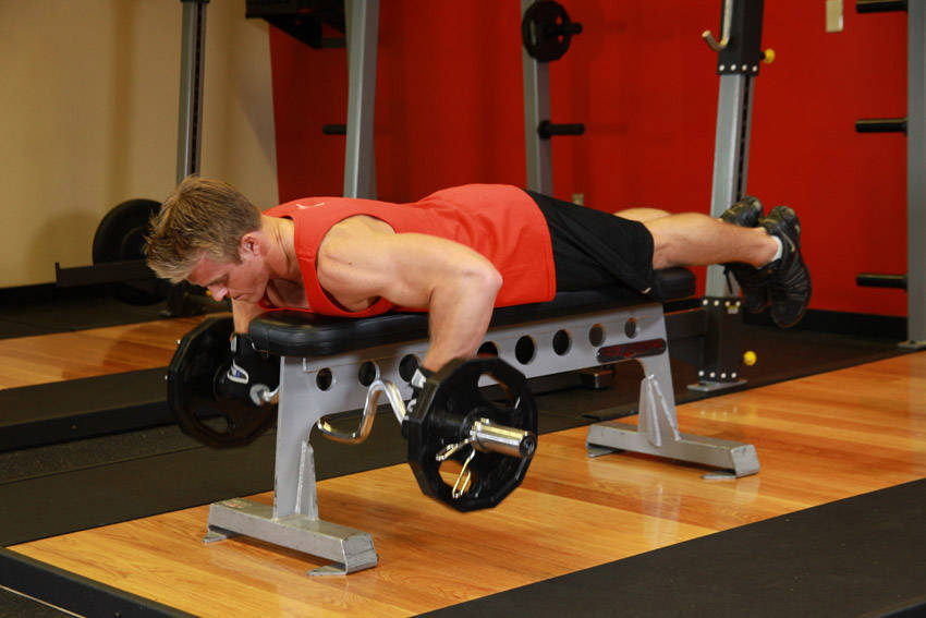 Lying Cambered Barbell Row variant 2
