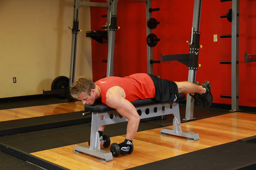 Lying Rear Delt Raise variant 2