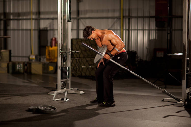 One-Arm Long Bar Row variant 2