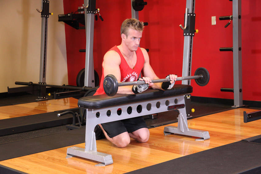 Palms-Down Wrist Curl Over A Bench variant 2