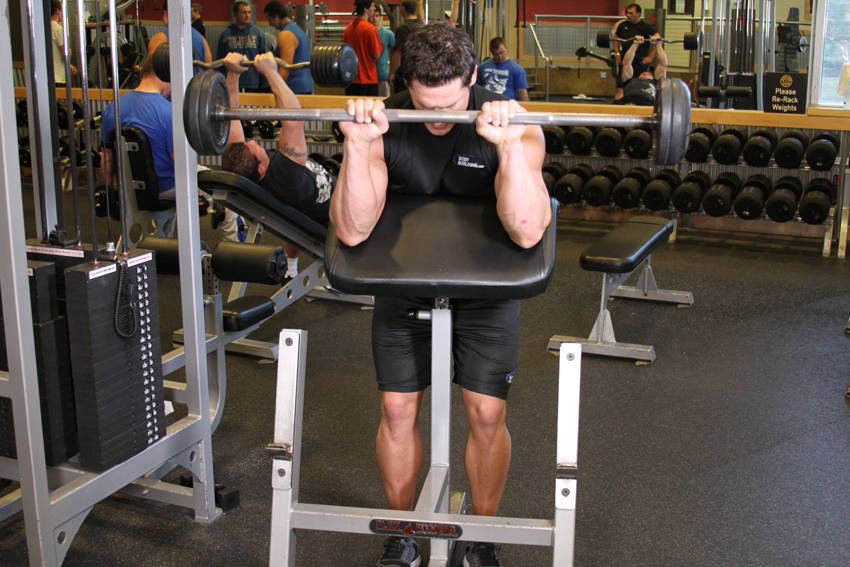 Reverse Barbell Preacher Curls variant 2