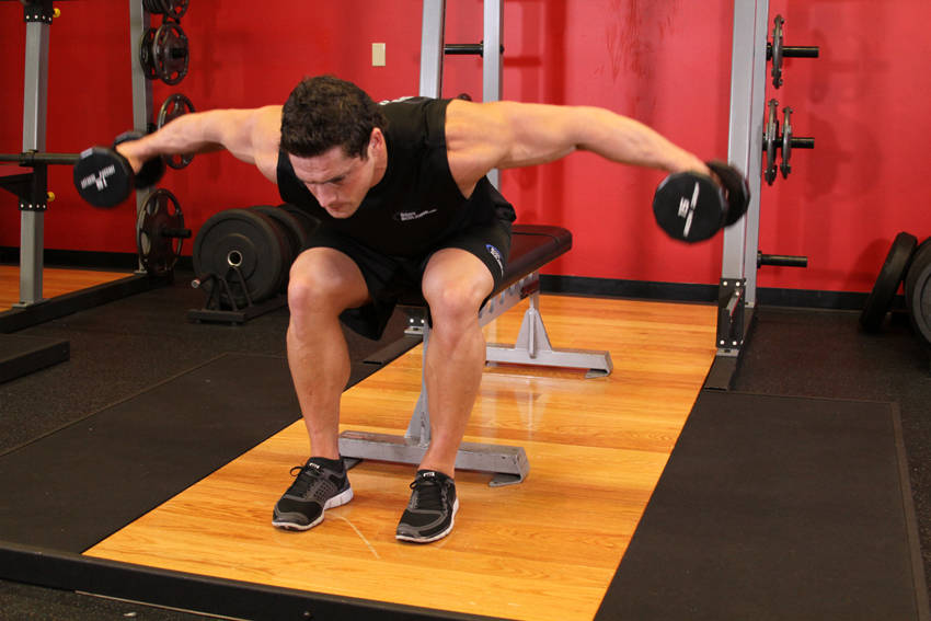 Seated Bent-Over Rear Delt Raise variant 2