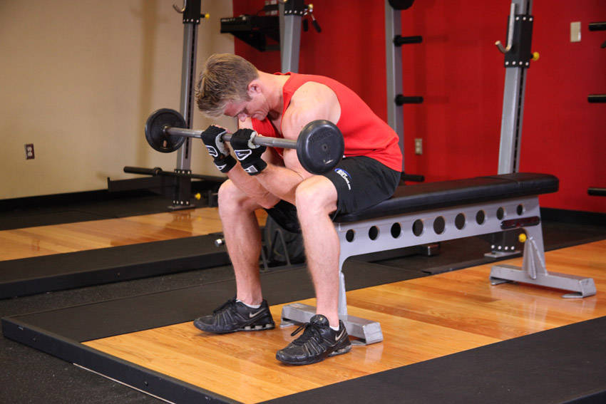 Seated Close-Grip Concentration Barbell Curl variant 2
