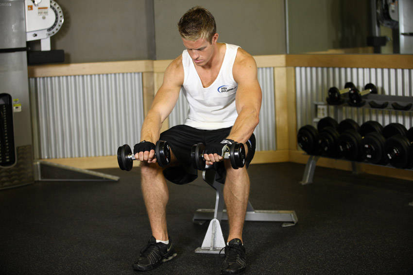 Seated Dumbbell Palms-Down Wrist Curl variant 2