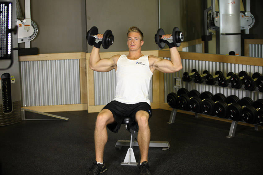 Seated Dumbbell Press variant 2