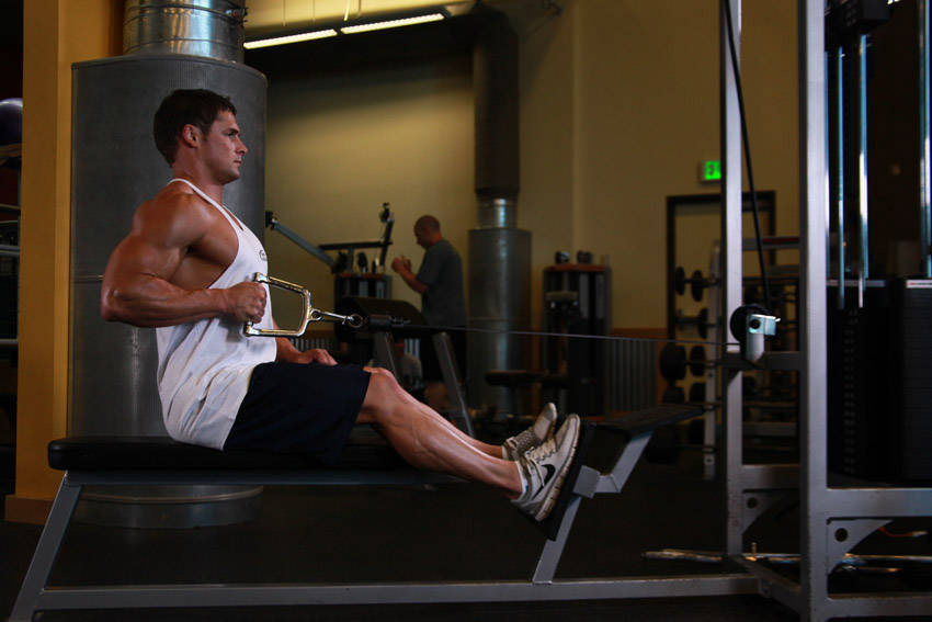 Seated One-arm Cable Pulley Rows variant 2