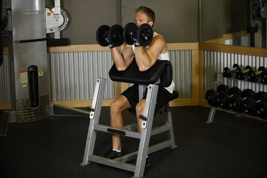 Two-Arm Dumbbell Preacher Curl variant 2